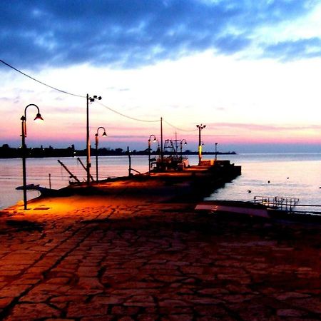 App Segi Daire Novigrad Istria Dış mekan fotoğraf