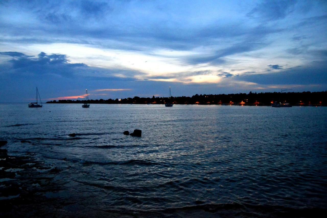 App Segi Daire Novigrad Istria Dış mekan fotoğraf