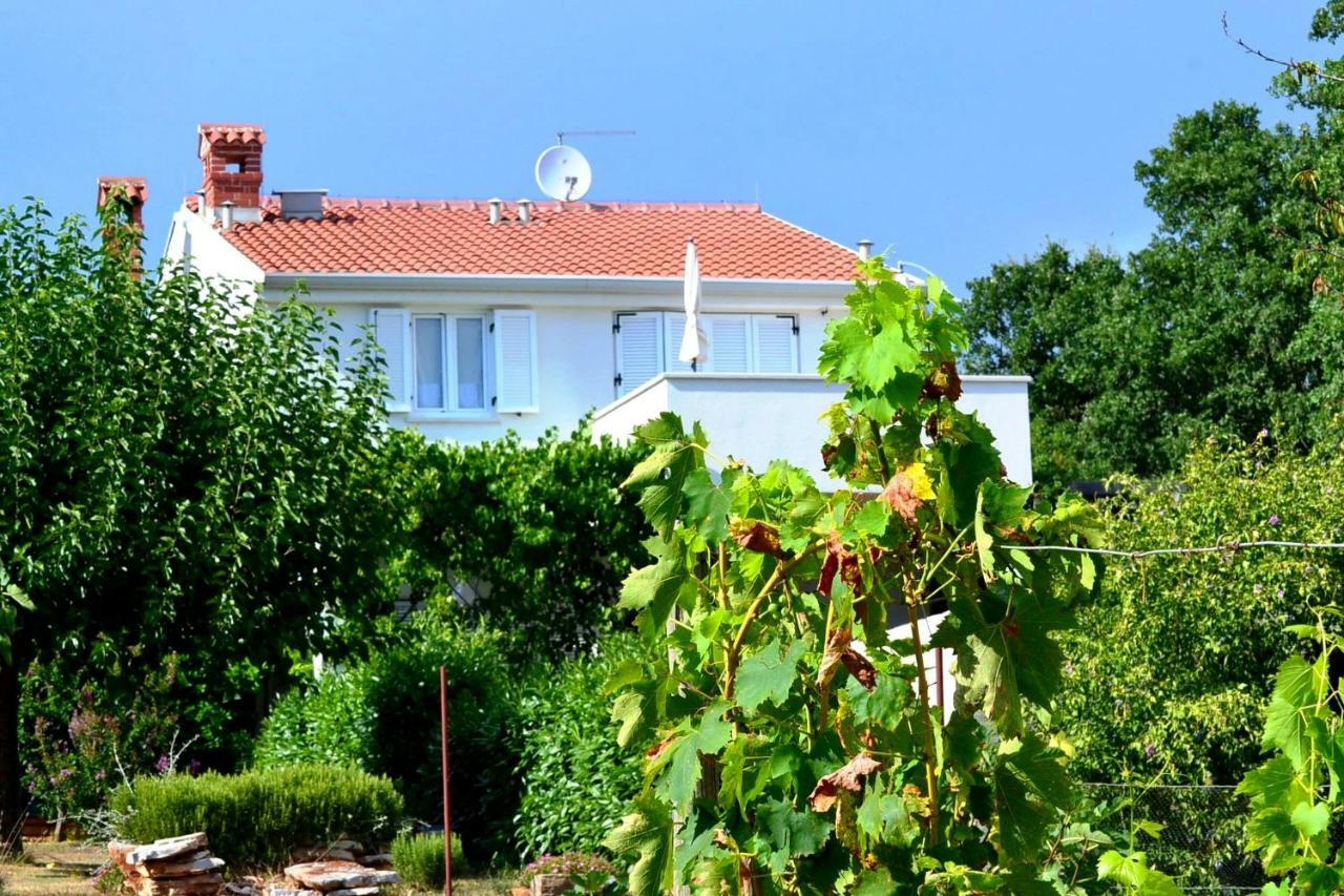 App Segi Daire Novigrad Istria Dış mekan fotoğraf